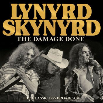 Lynyrd Skynyrd - The Damage Done