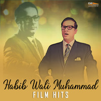 Habib Wali Muhammad - Habib Wali Muhammad Film Hits