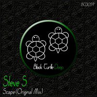 Steve S. - Scape