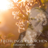 Johannes Brahms - Frühlings Erwachen (432 HZ)