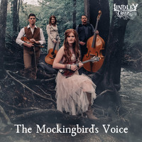 Lindley Creek - The Mockingbird's Voice