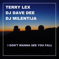 Terry Lex, DJ Dave Dee, DJ Milentija - I Don't Wanna See You Fall