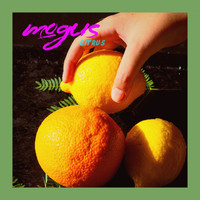 mogus - Citrus