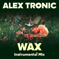 Alex Tronic - Wax (Instrumental)