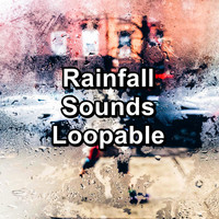 Rain - Rainfall Sounds Loopable