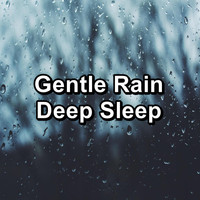 Rain & Thunder Sounds - Gentle Rain Deep Sleep
