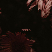 Feels - Still On My Mind (Explicit)