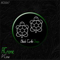 Rtronic - P.time