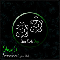 Steve S. - Sensation