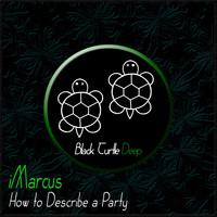 iMarcus - How to Describe a Party