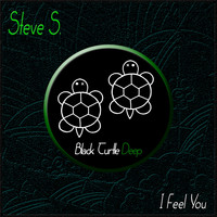 Steve S. - I Feel You
