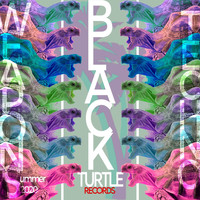 Dr. Ton - Black Turtle Weapons Techno Summer 2020