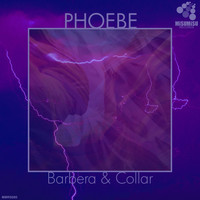 Barbera & Collar - Phoebe