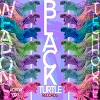 Andres Power and Outcode - Black Turtle Weapons Tech House Summer 2020
