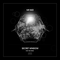 Mr. Bizz - Secret Window