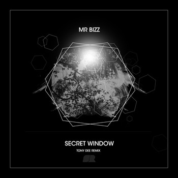 Mr. Bizz - Secret Window