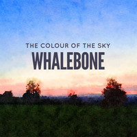 Whalebone - The Colour of the Sky