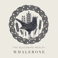 Whalebone - The Blackbird Medley