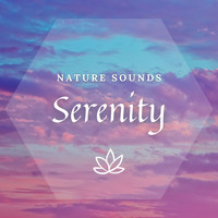 Meditway - [Nature Sounds] Serenity