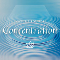 Meditway - [Nature Sounds] Concentration