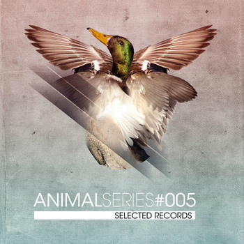 Various Artists - STD 105: Animal Series Vol. 5