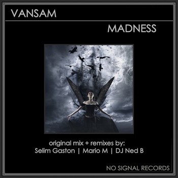 Vansam - Madness