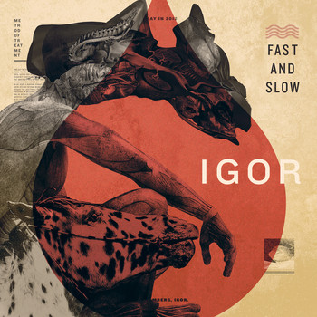 Igor - Fast & Slow