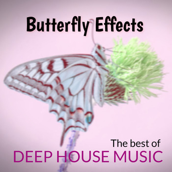 Various Artists - Butterfly Effects : the Best of Deep House Music