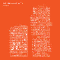 Nana Adjoa - Big Dreaming Ants Remixes (Explicit)