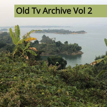Various Artists - Old Tv Archive Vol 2