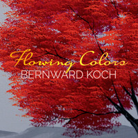 Bernward Koch - Flowing Colors