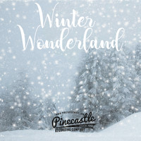 Pinecastle Records - Winter Wonderland