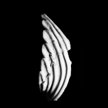 KMRU - Argon