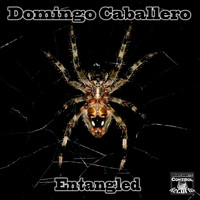 Domingo Caballero - Entangled