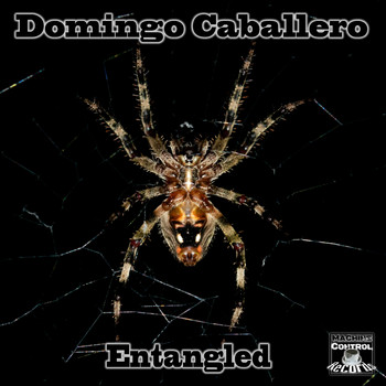 Domingo Caballero - Entangled