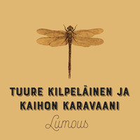 Tuure Kilpeläinen ja Kaihon Karavaani - Lumous