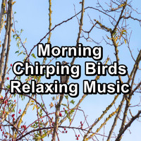 Binaural Beats Sleep - Morning Chirping Birds Relaxing Music