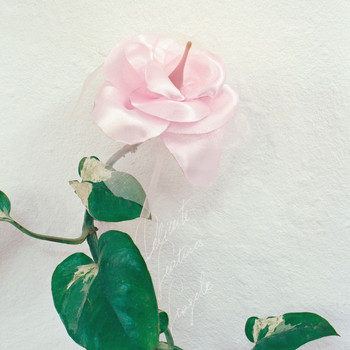 Delicate Features - Fragile