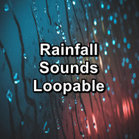 Nature Music - Rainfall Sounds Loopable