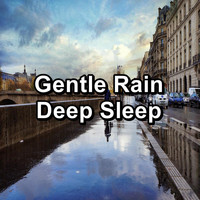 Sounds of Nature White Noise Sound Effects - Gentle Rain Deep Sleep