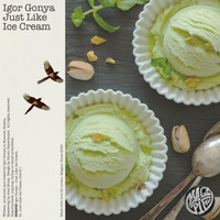 Igor Gonya - Just Like Ice Cream