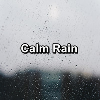 Sleep Tribe - Calm Rain