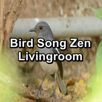 Sounds and Birds Song - Bird Song Zen Livingroom