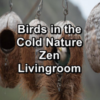 Rain - Birds in the Cold Nature Zen Livingroom