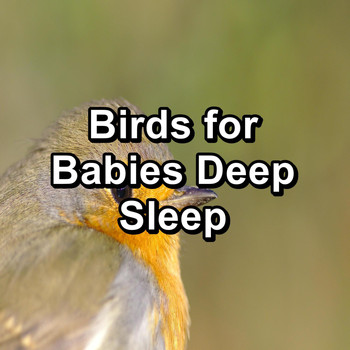Yoga Flow - Birds for Babies Deep Sleep