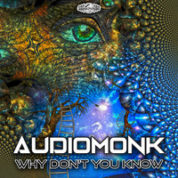 AudioMonk - Why Don't You Know