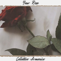 Collettivo Armonico - Your Rose