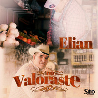 Elian - No Valoraste 