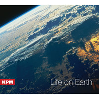 Daryl Griffith - Life on Earth