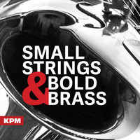 Paul Pritchard - Small Strings and Bold Brass